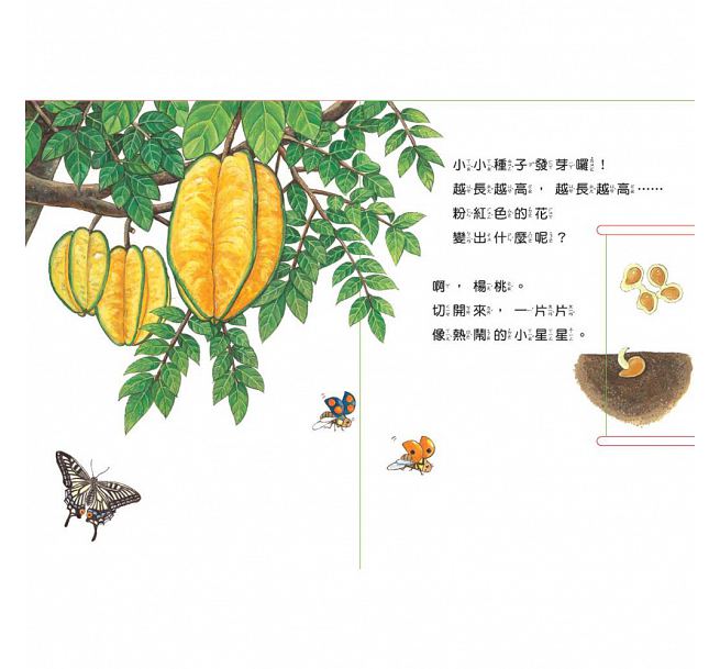 小種子，快長大-水果篇
